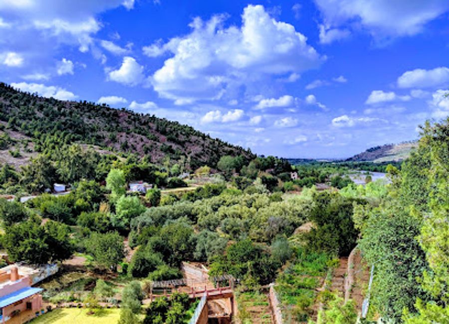 Experience authentic Moroccan flavors at Auberge Kasbah Tifirte – where every meal tells a story.