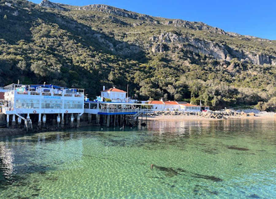 Experience the flavors of Portugal at D'uportinho—where fresh seafood meets breathtaking coastal views in Portinho da Arrábida.