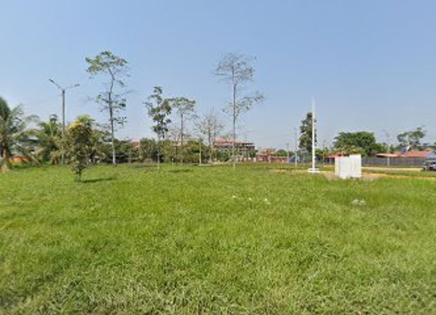 Savor authentic Peruvian cuisine in a vibrant family-friendly atmosphere at Restaurante Los Pajaritos in Puerto Maldonado.