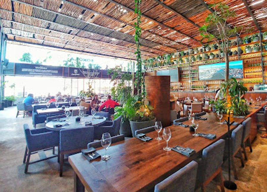 Experience culinary excellence at Prime Steak House Playa del Carmen - where premium steaks meet unparalleled service in a luxurious setting.