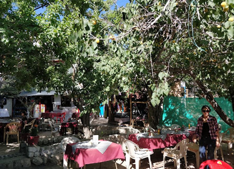 Discover the flavors of Leh at Penguin Garden Restaurant - a perfect breakfast haven with stunning views and warm hospitality.