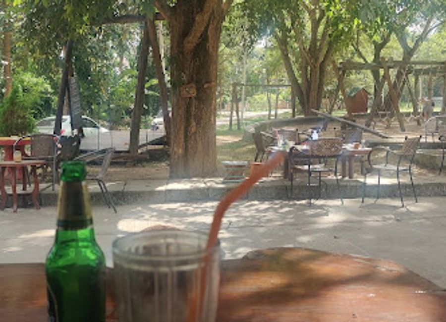 Experience the fusion of art and cuisine at Dacha Tree Cafe in Pai – where every meal tells a story.