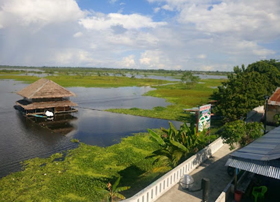 Discover authentic Peruvian cuisine with a twist at Amazon Bistro in Iquitos - where every dish is a celebration of flavor.