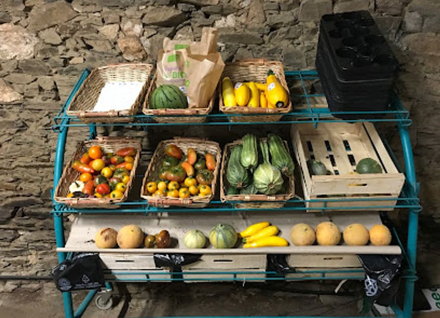 Discover Ferme Sinsac: A charming vegetarian restaurant and organic farm offering fresh local produce in the beautiful French countryside.