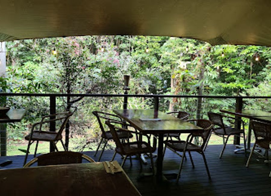 Experience delicious local cuisine surrounded by nature at WHET Cafe Bar Restaurant in Cape Tribulation - A true culinary delight.
