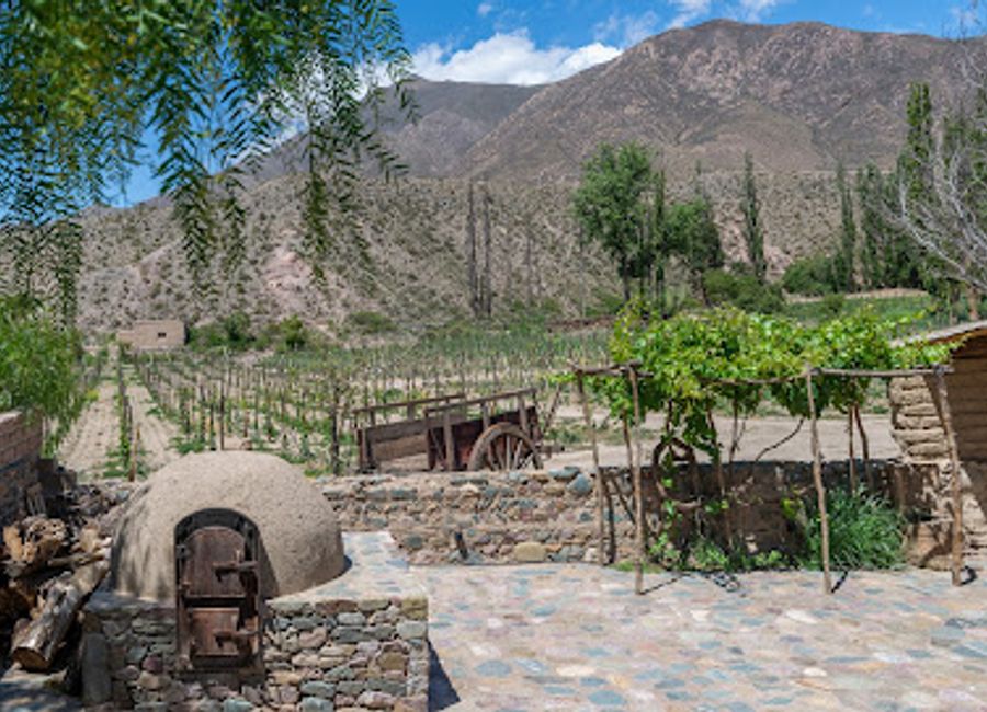Experience authentic flavors at Casa Mocha: your gateway to Jujuy's finest cheeses and wines amidst breathtaking landscapes.