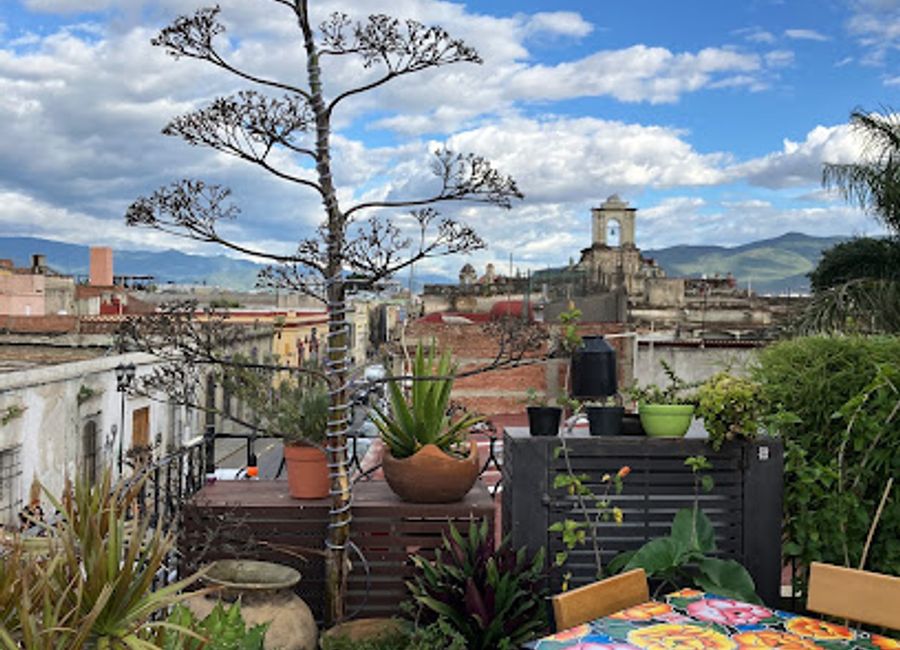 Experience authentic Oaxacan cuisine at Terraza Istmo, where every dish tells a story amidst stunning views.