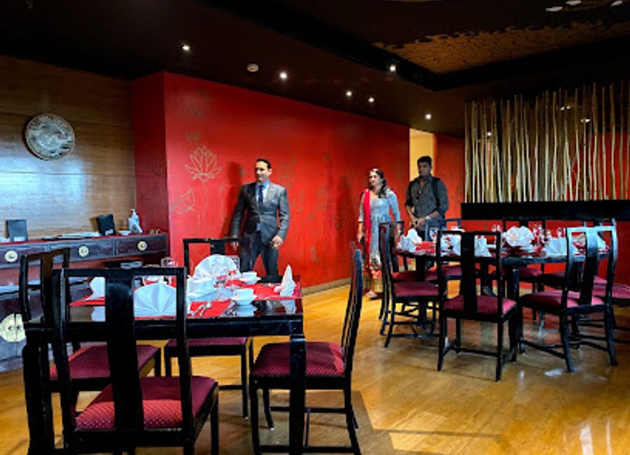 Experience a fusion of Chinese, Japanese, and Thai flavors at Dragon House in Jaipur – where every dish tells a story.