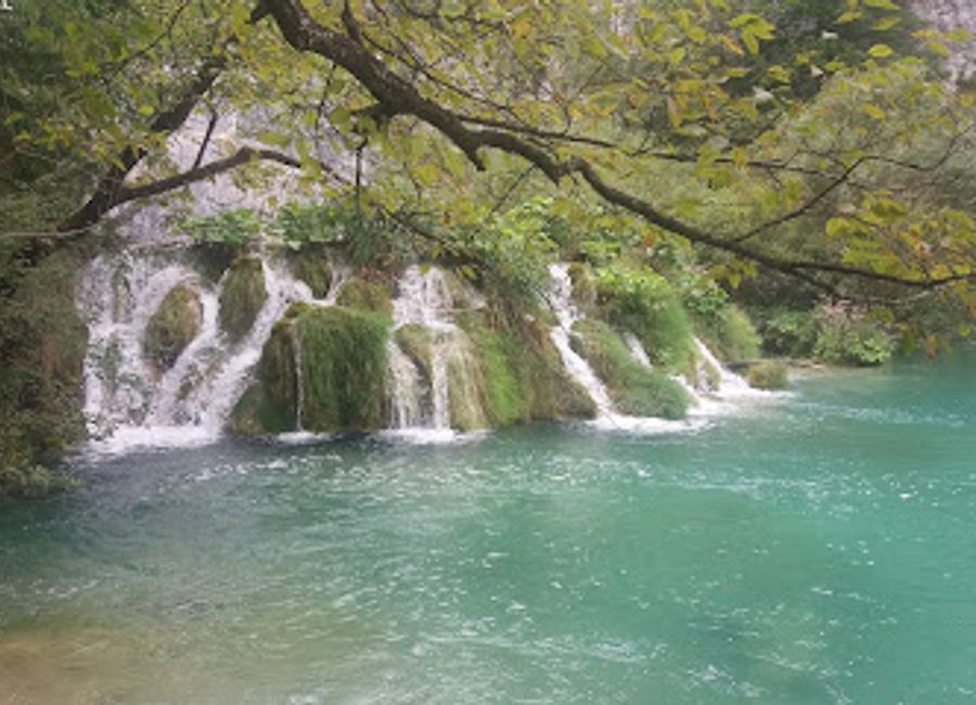 Discover authentic Croatian flavors at Lička kuća near Plitvice Lakes National Park, where tradition meets taste in every dish.