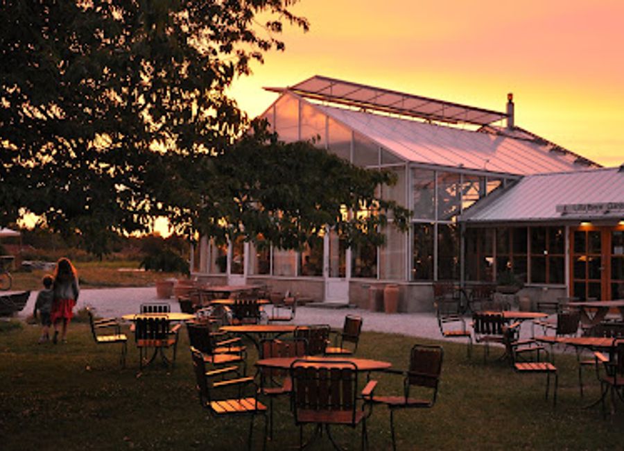 Discover authentic Swedish cuisine at Lilla Bjers Krog in Visby - where farm-fresh ingredients meet culinary artistry.
