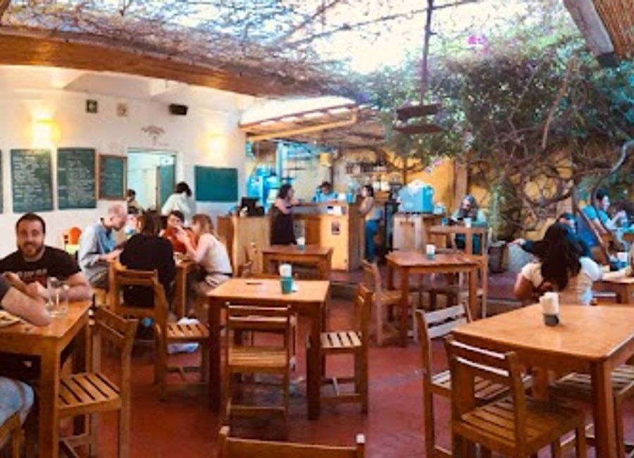 Experience authentic Oaxacan vegetarian cuisine at Calabacitas Tiernas - where flavor meets tradition in every delicious bite.