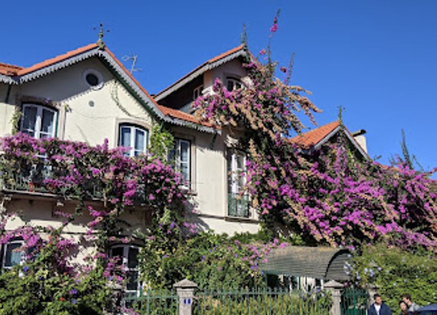 Experience the delightful fusion of traditional Portuguese cuisine with modern flair at Incomum in picturesque Sintra.