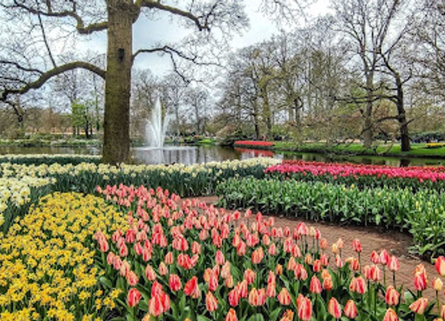 Experience authentic Dutch cuisine at Wilhelmina Paviljoen amidst Lisse's stunning landscapes.