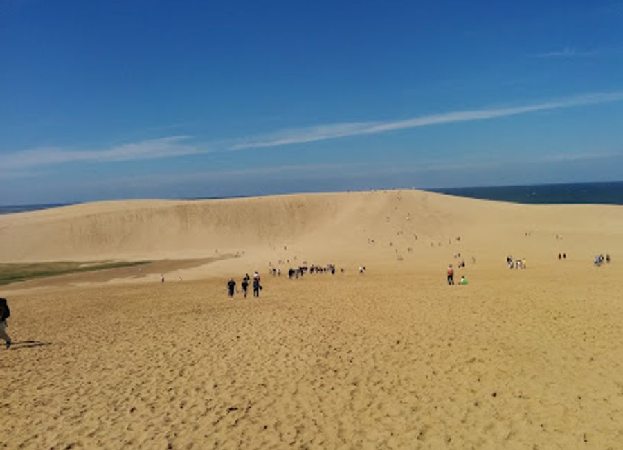 Discover exquisite seafood bowls at Taiki The Seafoods Bowl in Tottori - where freshness meets tradition for an unforgettable dining experience.