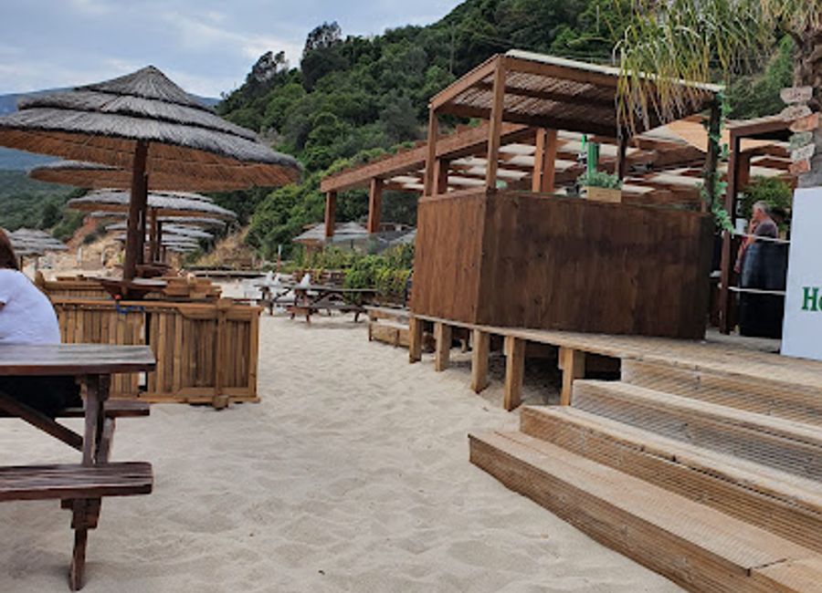 Discover authentic Portuguese cuisine at Ondagalapos while enjoying breathtaking views of Praia de Galapos in Serra da Arrábida.