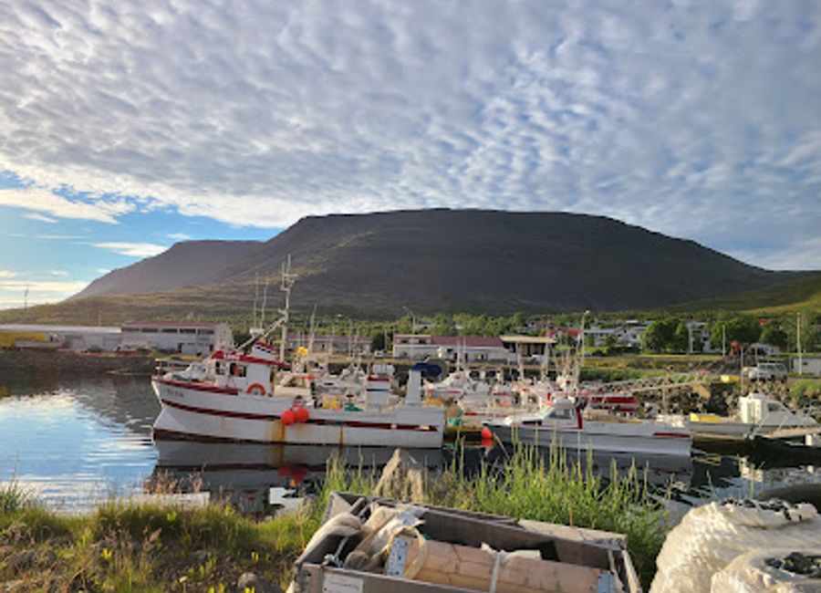 Discover authentic Icelandic cuisine at Hópið in Tálknafjörður, where fresh ingredients meet warm hospitality.