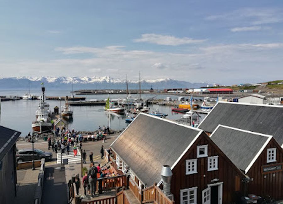 Experience authentic Icelandic flavors at Lókal Bistro in Húsavík – your perfect café retreat amidst breathtaking landscapes.