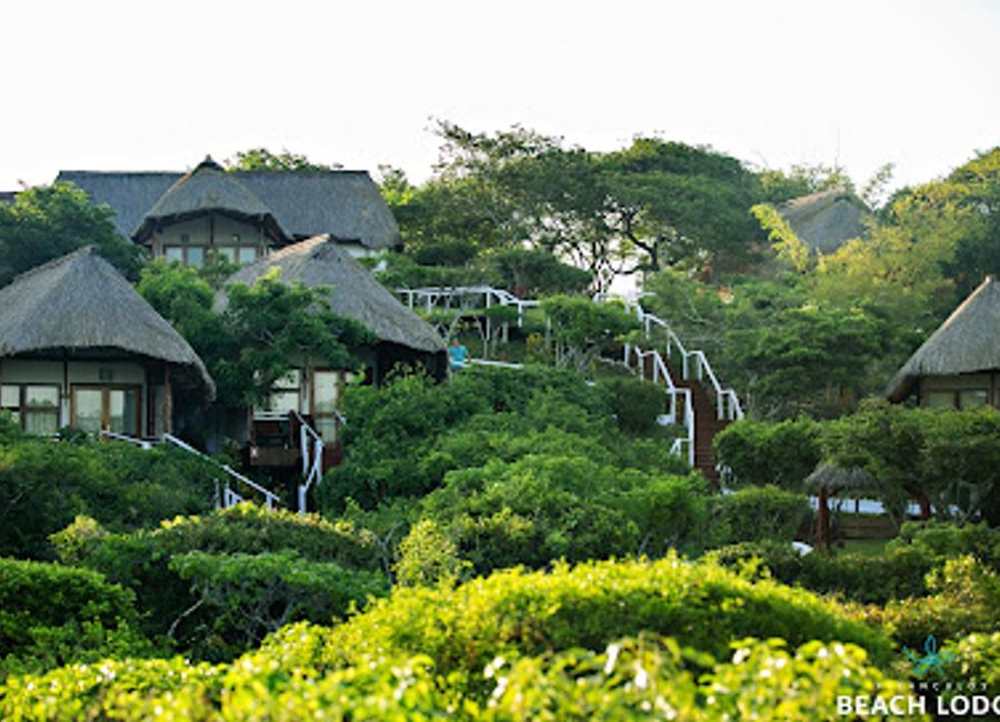 Experience unparalleled beauty and exquisite cuisine at Vilanculos Beach Lodge - your ultimate coastal getaway in Mozambique.
