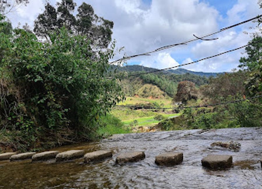 Experience authentic Venezuelan cuisine at Venezuela Mia in Guatapé - where every dish tells a story!