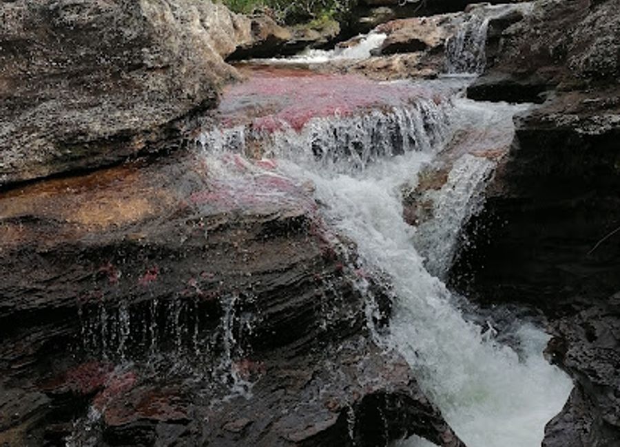 Experience authentic Colombian flavors at Restaurante Llano Y Leyenda in La Macarena - a delightful destination for food enthusiasts.