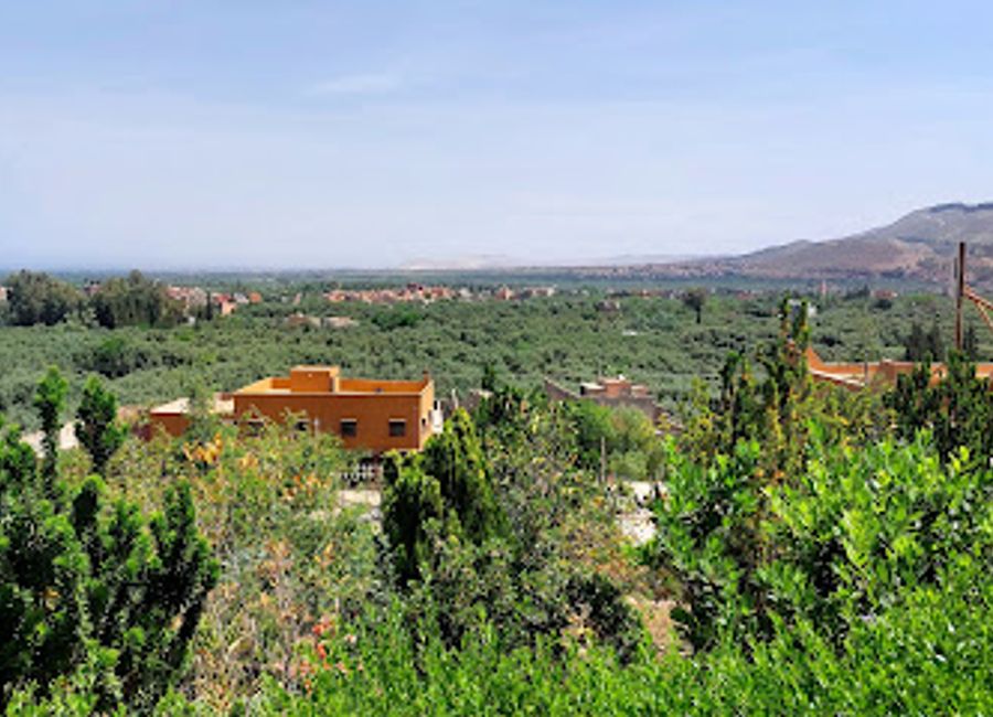 Discover authentic Moroccan cuisine at La Muraille de l'Ourika amidst stunning mountain views in Ourika Valley.