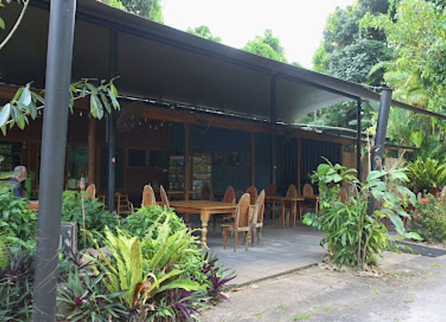 Experience exquisite dining at Daintree Siesta Restaurant, where fresh local ingredients meet breathtaking rainforest views.