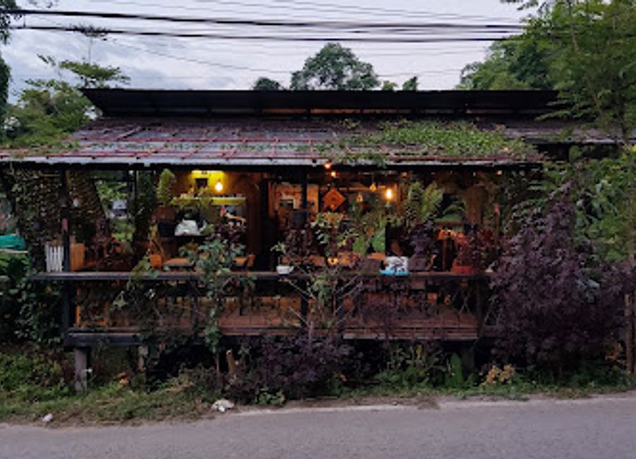 Discover authentic Thai flavors at Tham Ma Daa Cafe in Pai—where every meal is a celebration of local ingredients and culinary tradition.