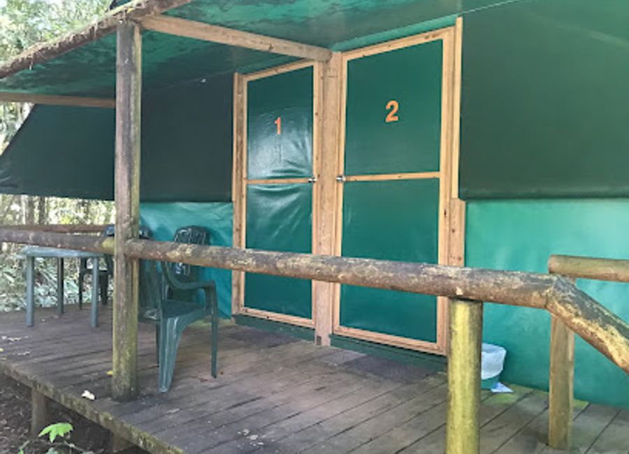 Discover tranquility at Daintree Crocodylus - where lush rainforests meet exceptional vegan dining and comfortable accommodations.