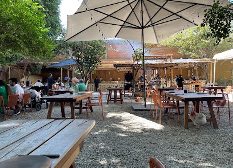 Discover Criollo in Oaxaca: Where traditional Mexican cuisine meets innovative culinary artistry.