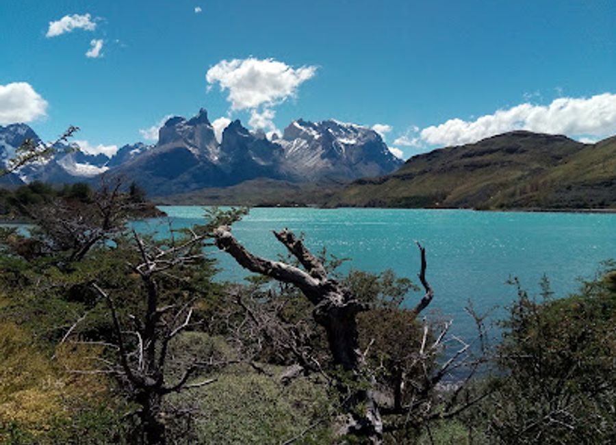 Experience authentic Chilean barbecue surrounded by breathtaking landscapes at Restaurant Pehoe Barbecue in Torres del Paine National Park.