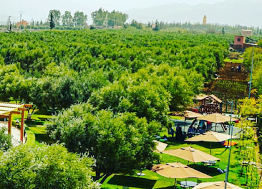 Discover authentic Moroccan flavors at Feddan Café Restaurant, where culinary delight meets stunning views in the heart of Marrakesh.