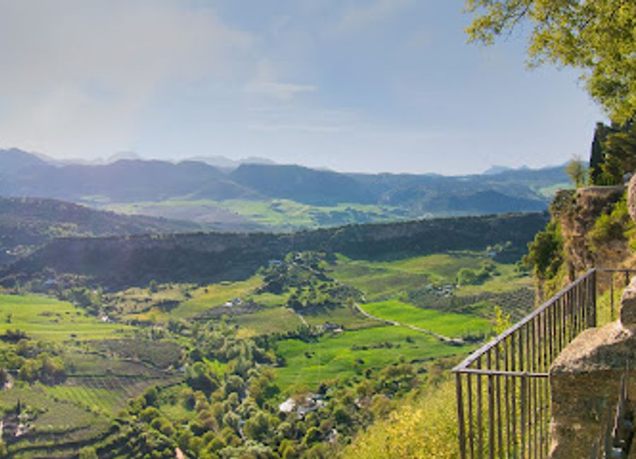 Experience authentic Andalusian cuisine with breathtaking views at Restaurante Abades Ronda - where every meal is a feast for the senses.