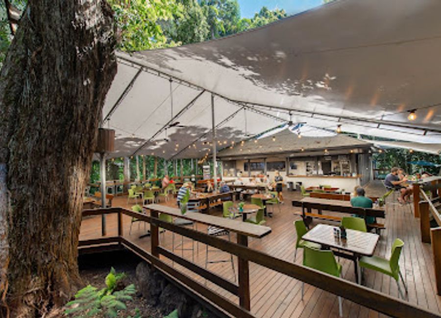 Experience serene stays and adventurous escapades at Cape Trib Beach House in Queensland's breathtaking Daintree rainforest.