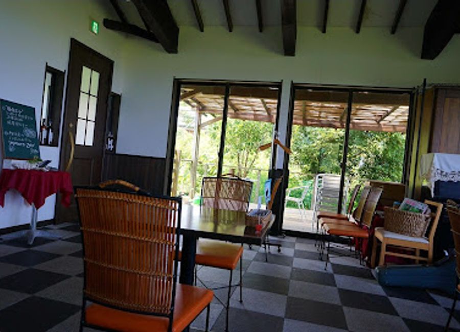 Discover Il Mare in Yakushima for an unforgettable Italian dining experience amidst stunning natural beauty.