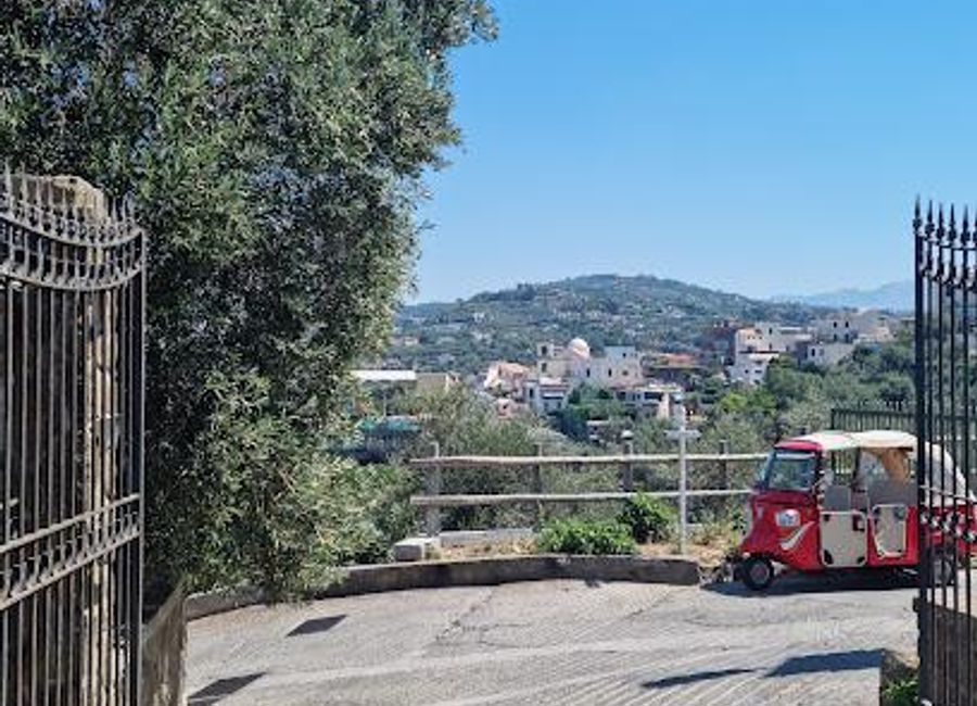 Discover tranquility at Agriturismo il Turuziello – your serene escape in the heart of Massa Lubrense's beautiful countryside.