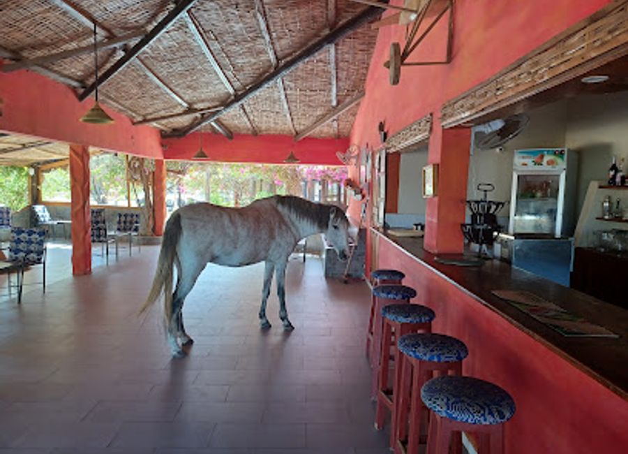 Discover La Terrasse d'Afrique: A culinary gem in St. Louis showcasing traditional African flavors with stunning views.