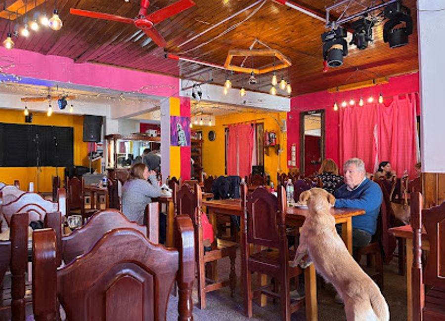 Experience authentic Argentine cuisine at Pinocho Restaurante in Humahuaca - where every dish tells a story.