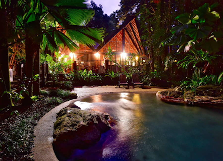 Experience tranquility at Ferntree Rainforest Hotel amidst Queensland's lush Daintree rainforest—an eco-friendly retreat for nature lovers.