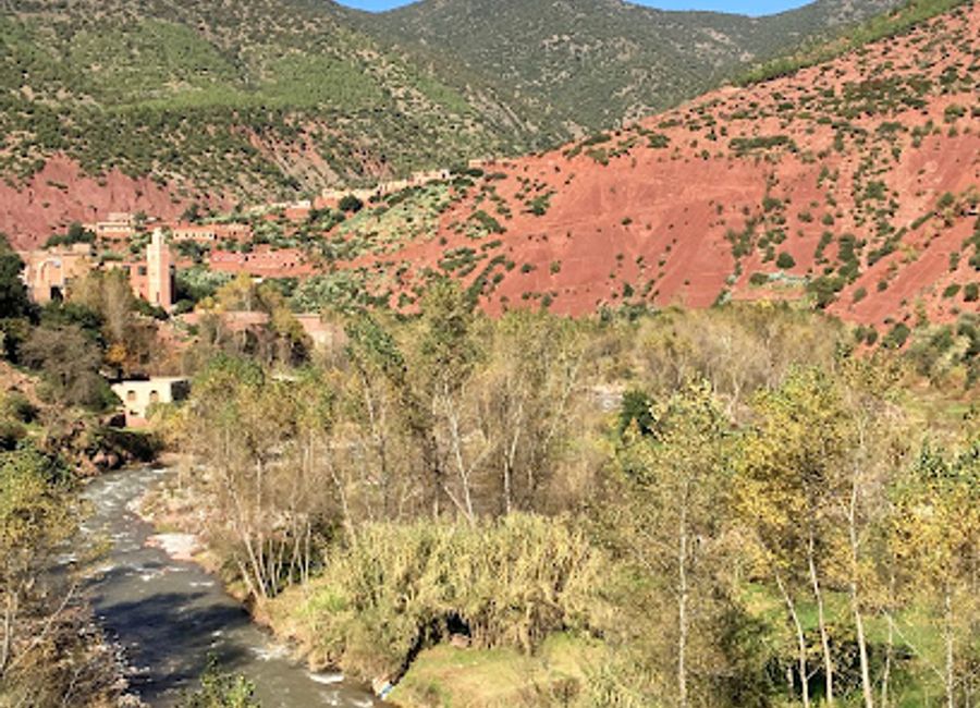 Discover authentic Moroccan cuisine amidst breathtaking scenery at Dar Hafida in Ourika Valley.