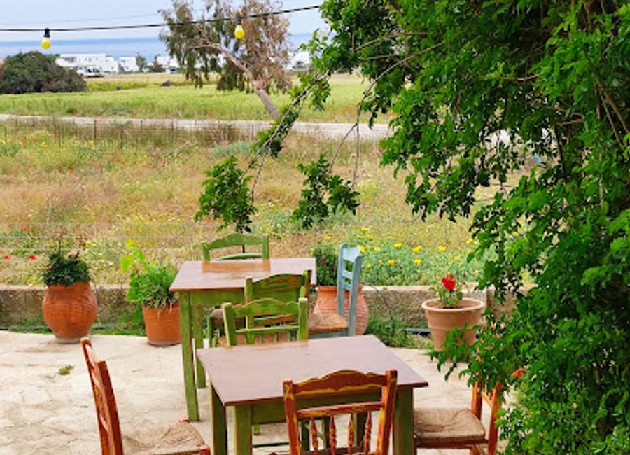 Discover authentic Greek cuisine at Taverna Axiotissa in Naxos – where tradition meets modern culinary artistry.