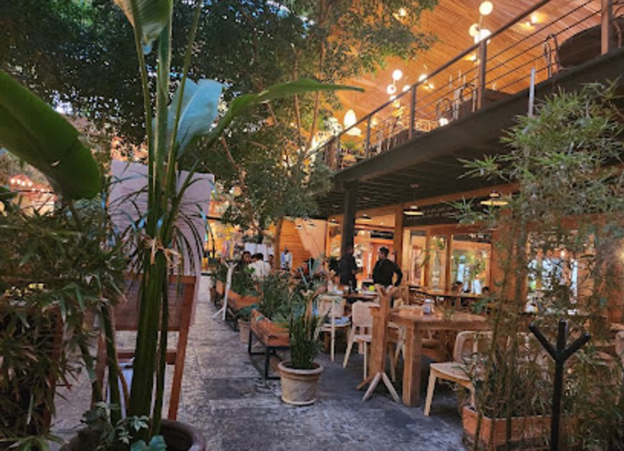 Discover authentic Thai cuisine at Bangcook Tailandés in San Cristóbal de las Casas—where every bite transports you to Thailand.