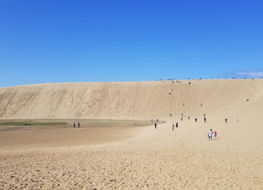 Experience authentic Japanese dining at Sankouen in Sakyu – where tradition meets flavor amidst serene surroundings.