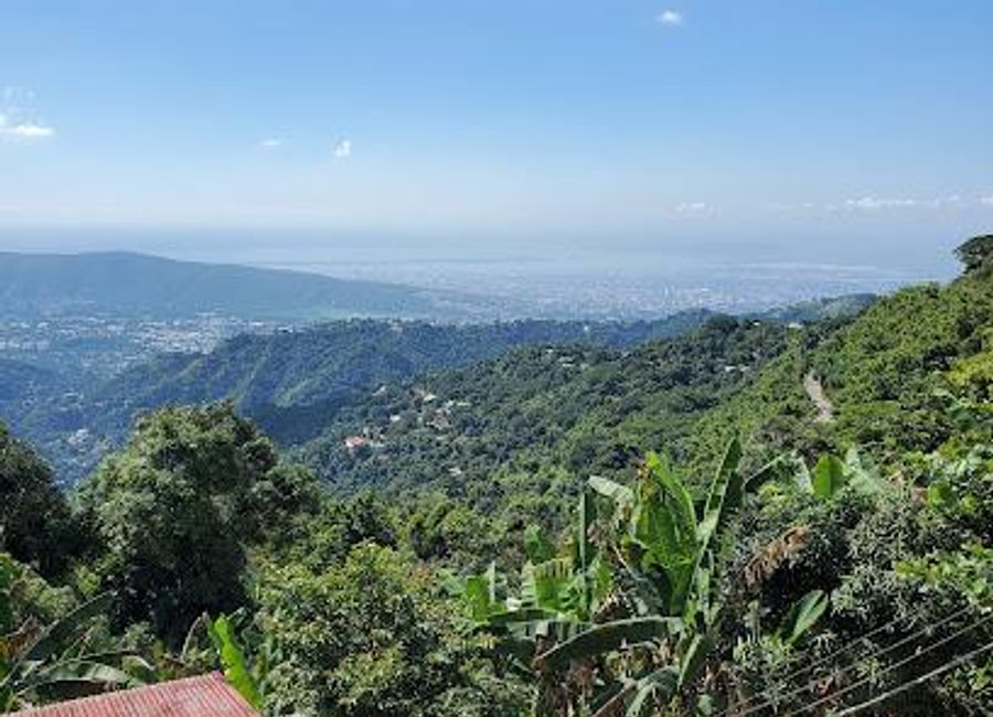 Experience authentic Jamaican flavors at Irish Town Cafe, where local cuisine meets breathtaking views in a charming setting.