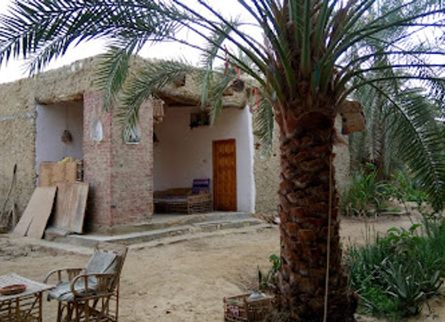 Discover the tranquil charm of Fahmi's Garden in Siwa - where delicious cuisine meets serene surroundings.