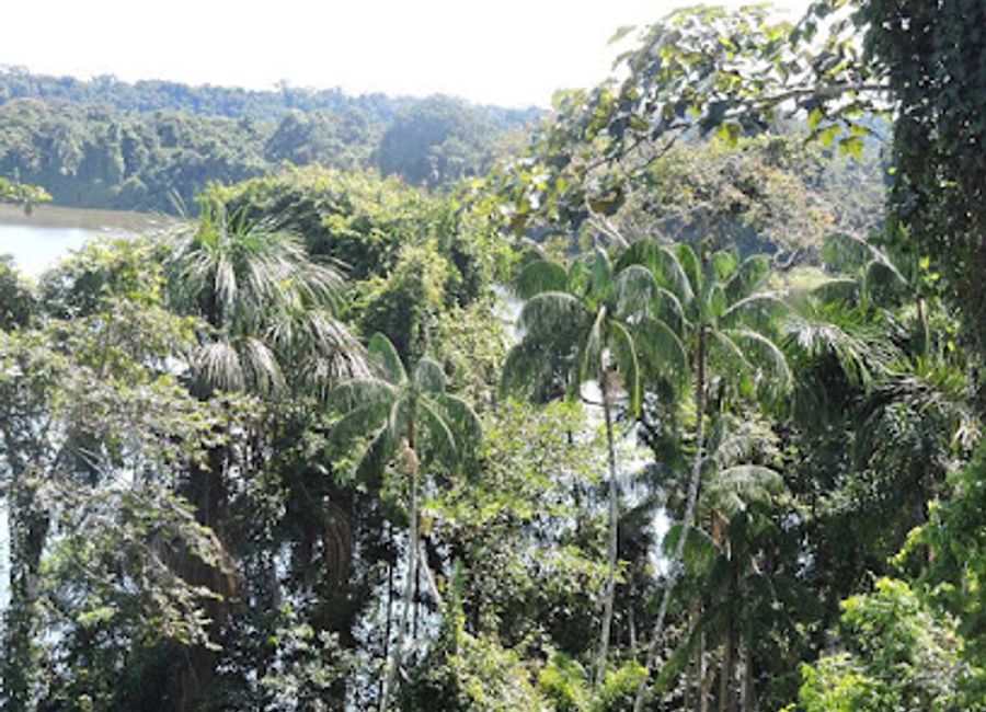 Savor authentic Peruvian cuisine at Huitoto Lake Lodge while enjoying stunning lakeside views in Tambopata.