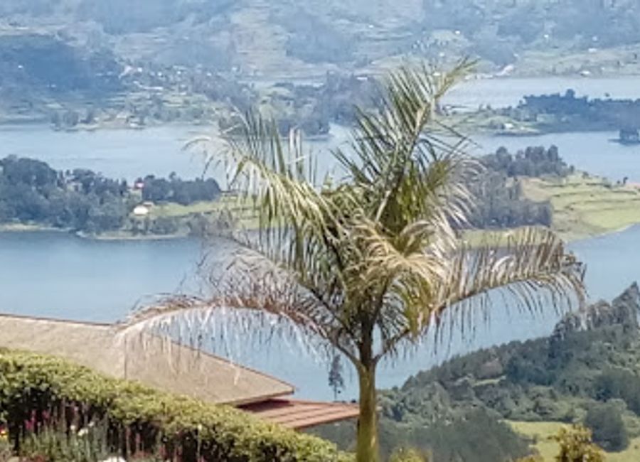 Experience the vibrant tastes of Uganda at Miami Restaurant in Kabale - where local flavors meet international cuisine.