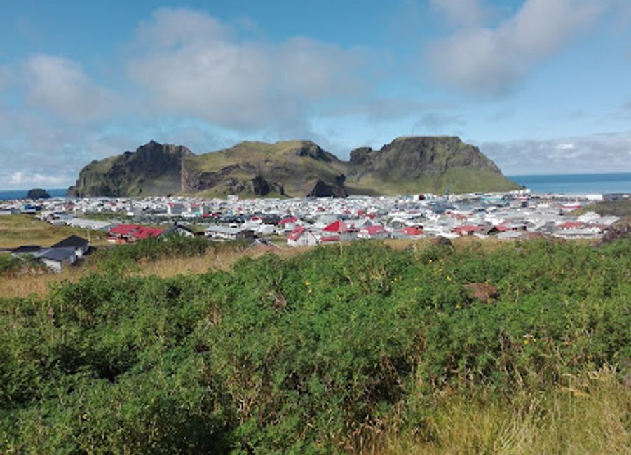 Experience authentic Icelandic cuisine at Kráin in Vestmannaeyjar - where every dish tells a story of local flavors.