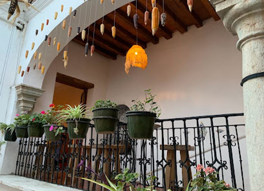 Discover Oaxacan culinary artistry at Origen – where tradition meets taste in every dish.