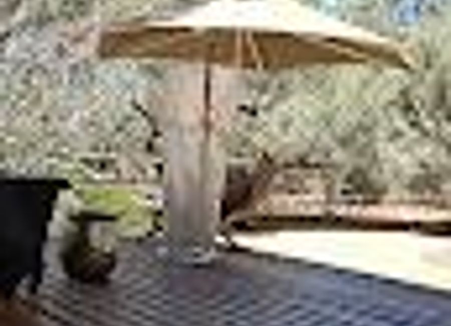 Discover Trail Station Cafe: A charming coffee shop with stunning views and delightful brews near the historic Telegraph Station.