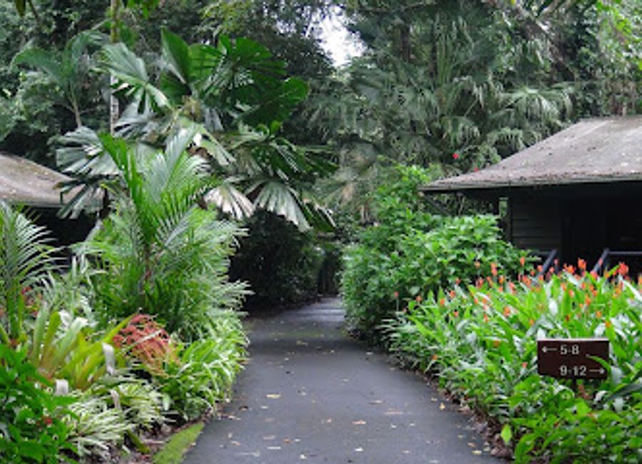 Discover unparalleled tranquility at Heritage Lodge In The Daintree, your gateway to Australia's stunning rainforest experiences.